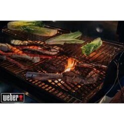 Weber Grille De Saisie Double Face Crafted 10 Weber Grille De Saisie Double Face Crafted -Joseph Joseph || Peugeot Soldes Magasin 115000 3 1 Grille de saisie double face Crafted Weber