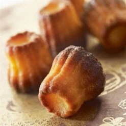 Lot Flexi'Plaque Silicone 30 Mini-canelés Et Entonnoir à Piston Pro -Joseph Joseph || Peugeot Soldes Magasin 519072 2 1 Lot Flexi Plaque silicone 30 mini caneles et entonnoir a piston pro Mathon