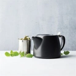 Théière Avec Infuseur Noir 500 ML -Joseph Joseph || Peugeot Soldes Magasin 880077 1 1 Theiere avec infuseur Noir 500 mL Point Virgule